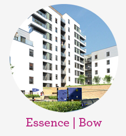 Essence Bow