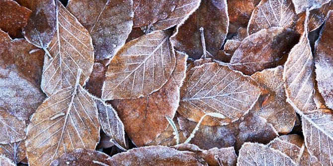 Centra Pulse winter offer